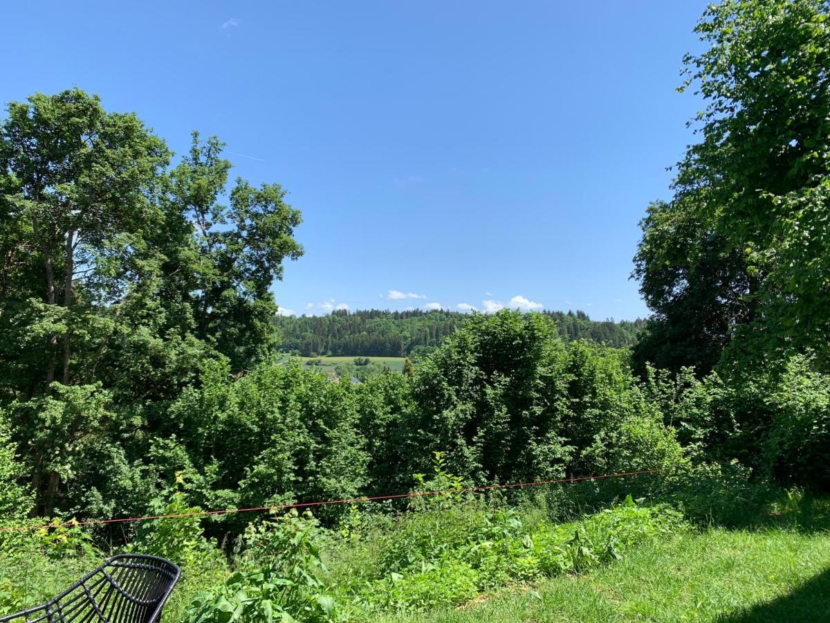 Moderne Wohnung Im Gruenen Mit Privatem Garten Donaueschingen Exterior photo