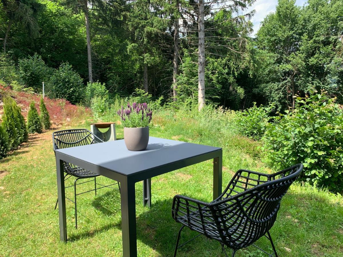 Moderne Wohnung Im Gruenen Mit Privatem Garten Donaueschingen Exterior photo